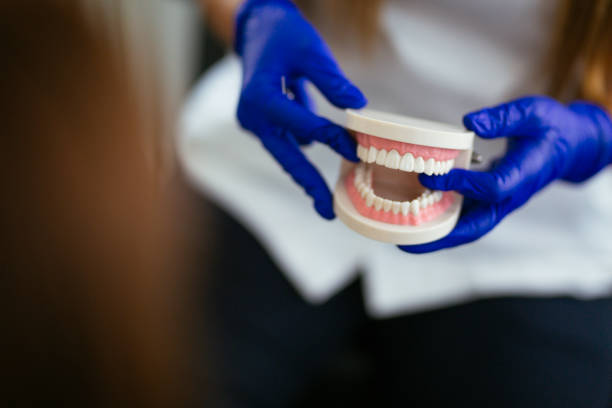 Trusted Trappe, MD Holistic Dental Care Services Experts